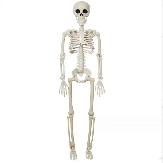 40cm Halloween Movable Skeleton Fake Human Skull Bones Halloween Party Home Bar Decorations Haunted House Horror Props Ornament