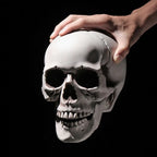 1PC Fashion Terrible Halloween Props Skull Head All Size Plastic Human Skeleton Party Decoration Game Supplies Hanging Decor