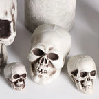 1PC Fashion Terrible Halloween Props Skull Head All Size Plastic Human Skeleton Party Decoration Game Supplies Hanging Decor