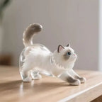 Pet Fur Keepsake Capsule Keychain, Transparent Souvenir Gift for Pet Lovers