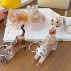 Pet Fur Keepsake Capsule Keychain, Transparent Souvenir Gift for Pet Lovers