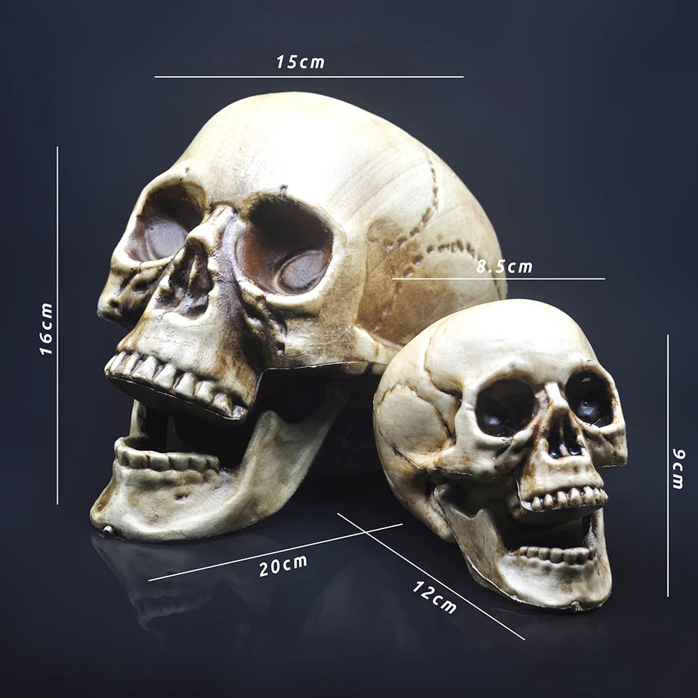 Skull Decor Prop Skeleton Head Plastic 1:1 Model Halloween Style Haunted House Party Home Decoration Game Supplies High Quality