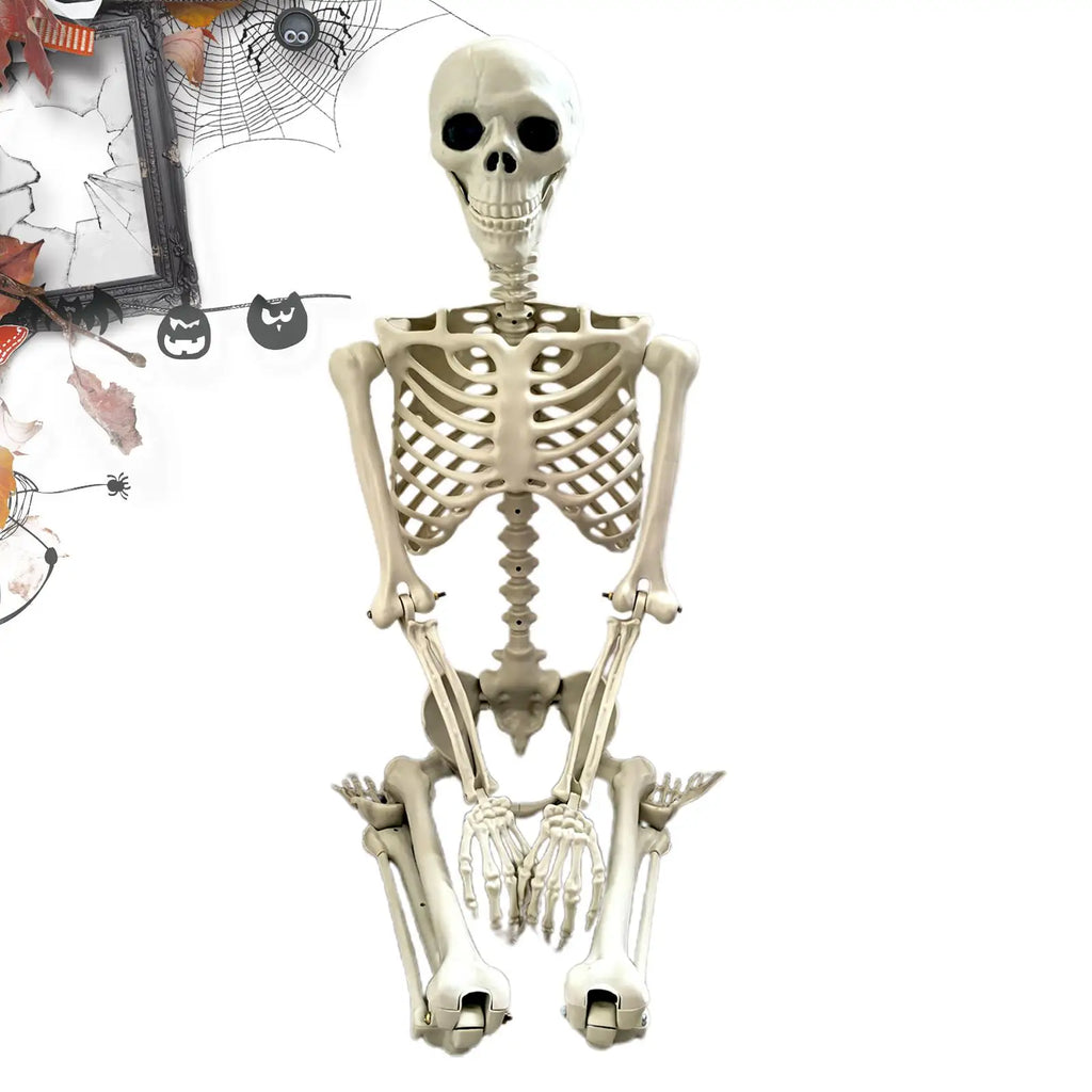 Halloween Realistic Body Bones Life Size Human Skeleton With Posable Joints Simulation Skull Ornament Haunted House Horror Props