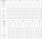 Findthat Sexy 2024 Prom Dresses High Side Split Sleeveless Party Gowns For Women Backless Satin A Line Bridesmaid Evening Dress