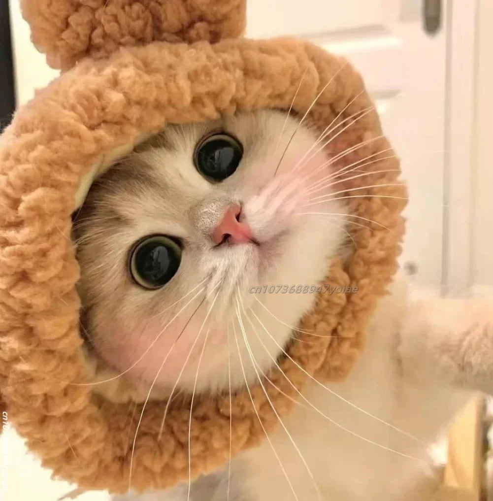 Cute animals Hooded Pet Cat Dog Accessories Cosplay Cat Hat Winter Lovely New Year Puppy Headgear Soft Velvet Pets Supplies