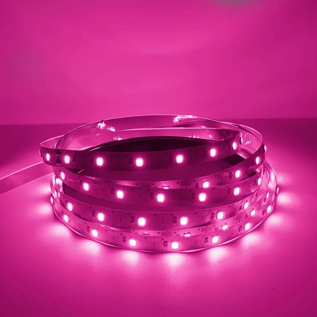 LED Strip 60LEDs/m DC12V SMD2835 Home Strip Red Blue Green Yellow Pink Warm White Flexible Cuttable Soft Lamp Bar For Home Decor