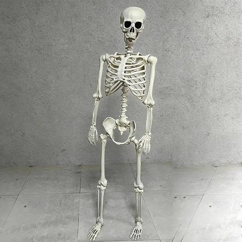 Posable Halloween Human Skeleton Prop Lifelike Skull Bones Scary Decoration for Haunted House Theme Party Cosplay Event Decor