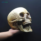 Skull Decor Prop Skeleton Head Plastic 1:1 Model Halloween Style Haunted House Party Home Decoration Game Supplies High Quality