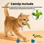 Interactive Cat Bird Toy with Sound Smart Induction Realistic Feathers Catnip Hanging Wall Mount Hunting Gear Indoor Cats Kitten