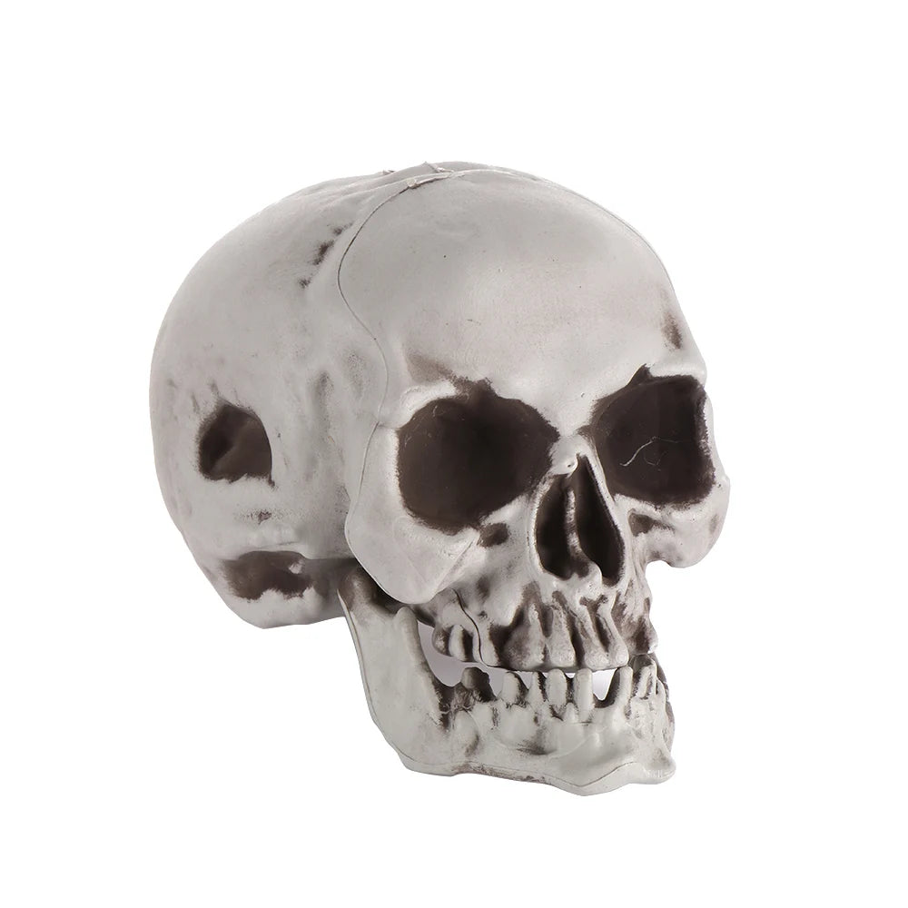 1PC Fashion Terrible Halloween Props Skull Head All Size Plastic Human Skeleton Party Decoration Game Supplies Hanging Decor