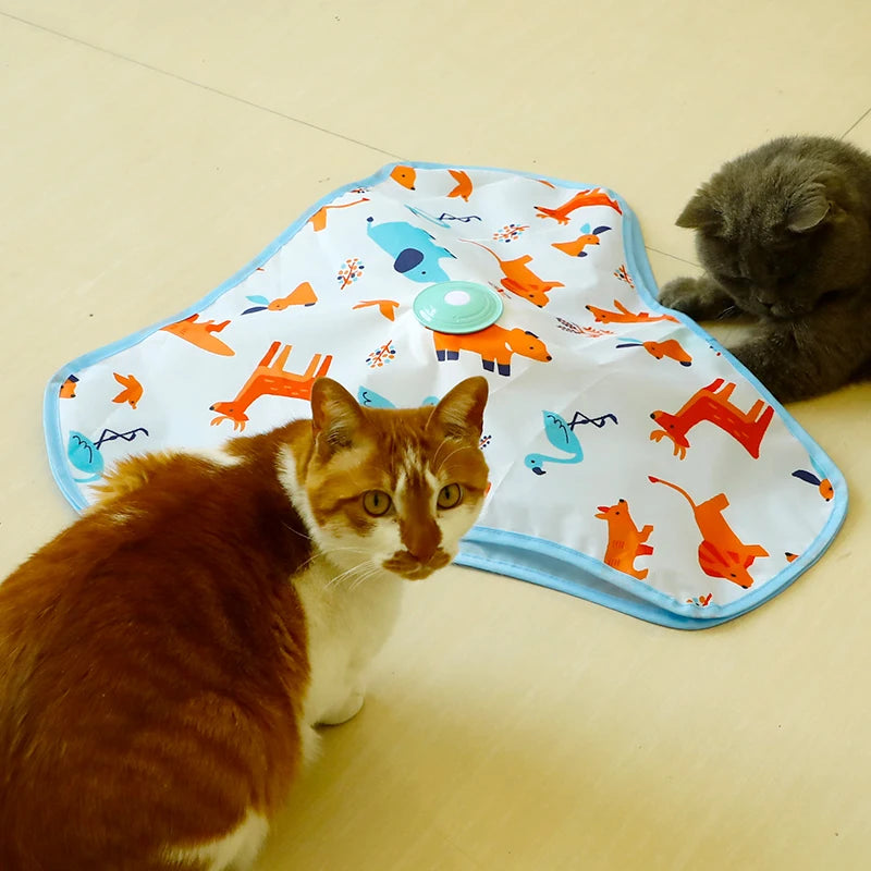 Interactive Cat Toys for Indoor Cats Motion Activate with Mat Rechargeable Cat Hunting Toy Hide and Seek Toy