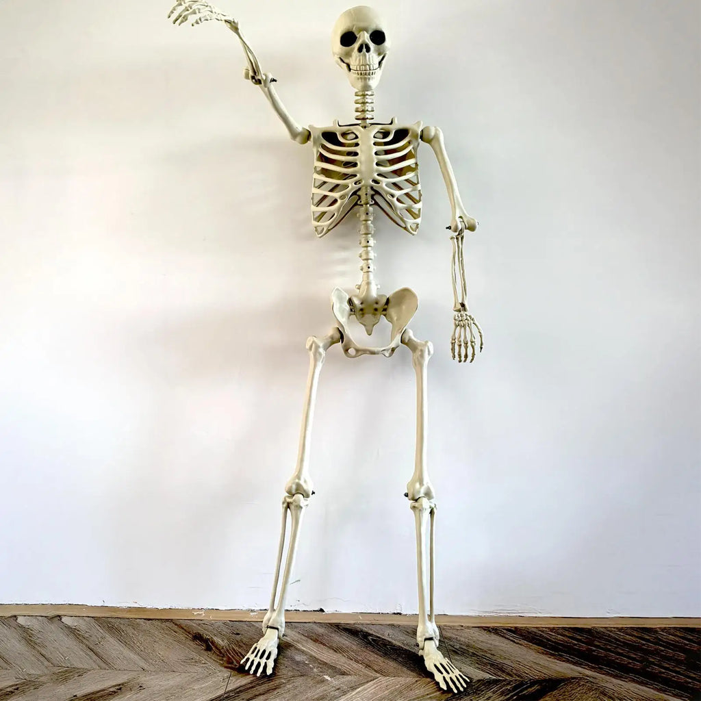 Halloween Realistic Body Bones Life Size Human Skeleton With Posable Joints Simulation Skull Ornament Haunted House Horror Props