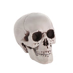 1PC Fashion Terrible Halloween Props Skull Head All Size Plastic Human Skeleton Party Decoration Game Supplies Hanging Decor