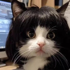 Cat Wig Dog Headdress Funny Cosplay Costume, Cute Pet Props Head Accessories