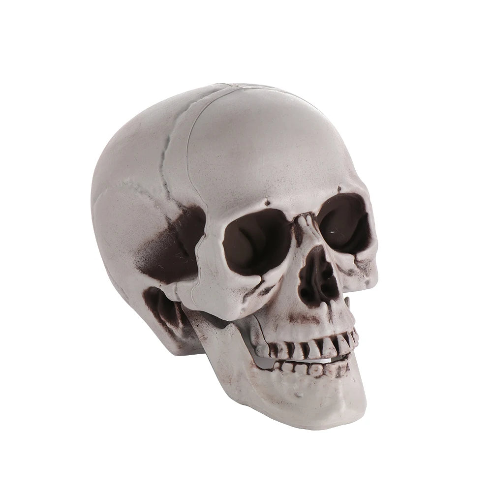 1PC Fashion Terrible Halloween Props Skull Head All Size Plastic Human Skeleton Party Decoration Game Supplies Hanging Decor