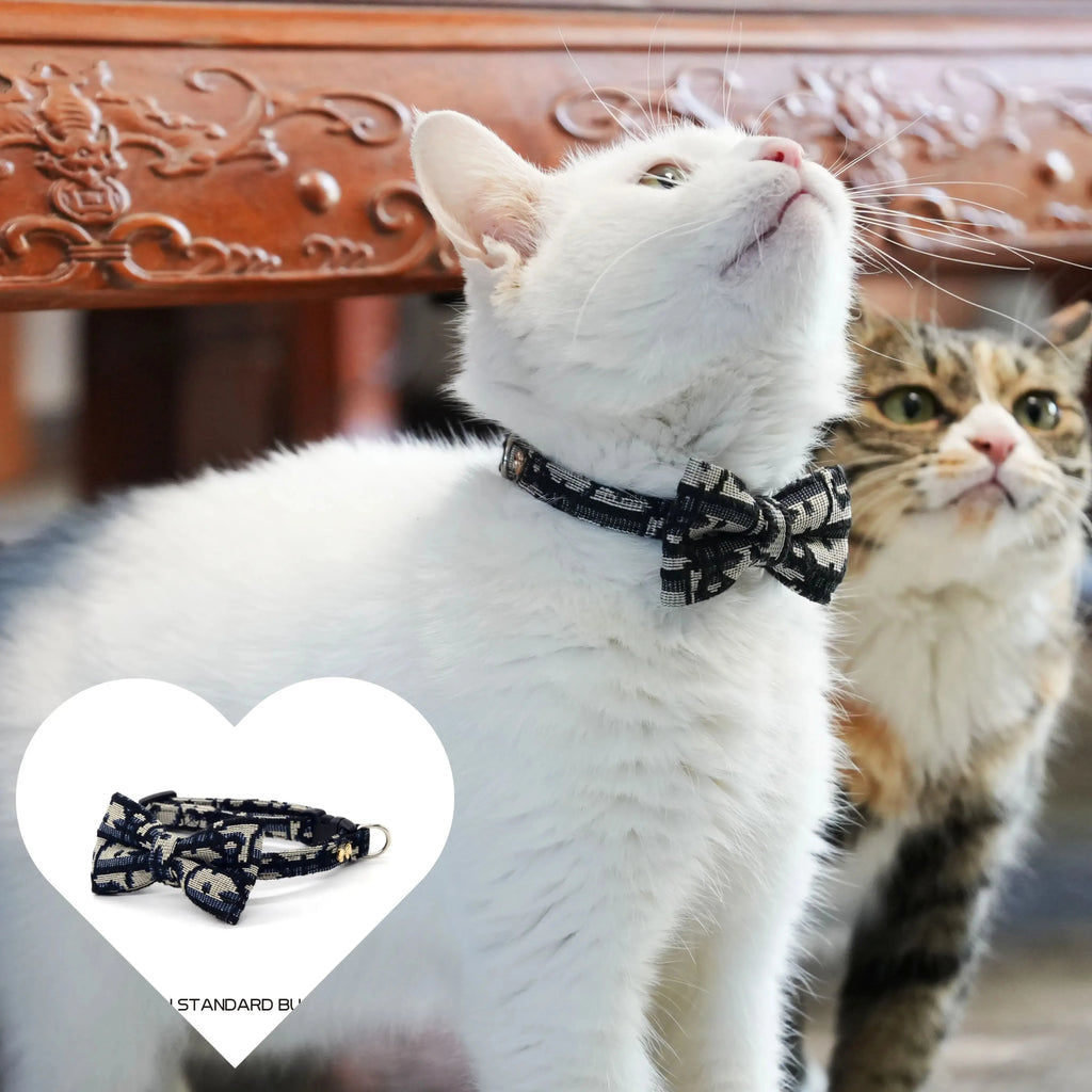 Pet Stuff Accessories Cats Items Detachable Collar Series Accessories Dogs Collars Guides Supplies Leash Kittens Pets