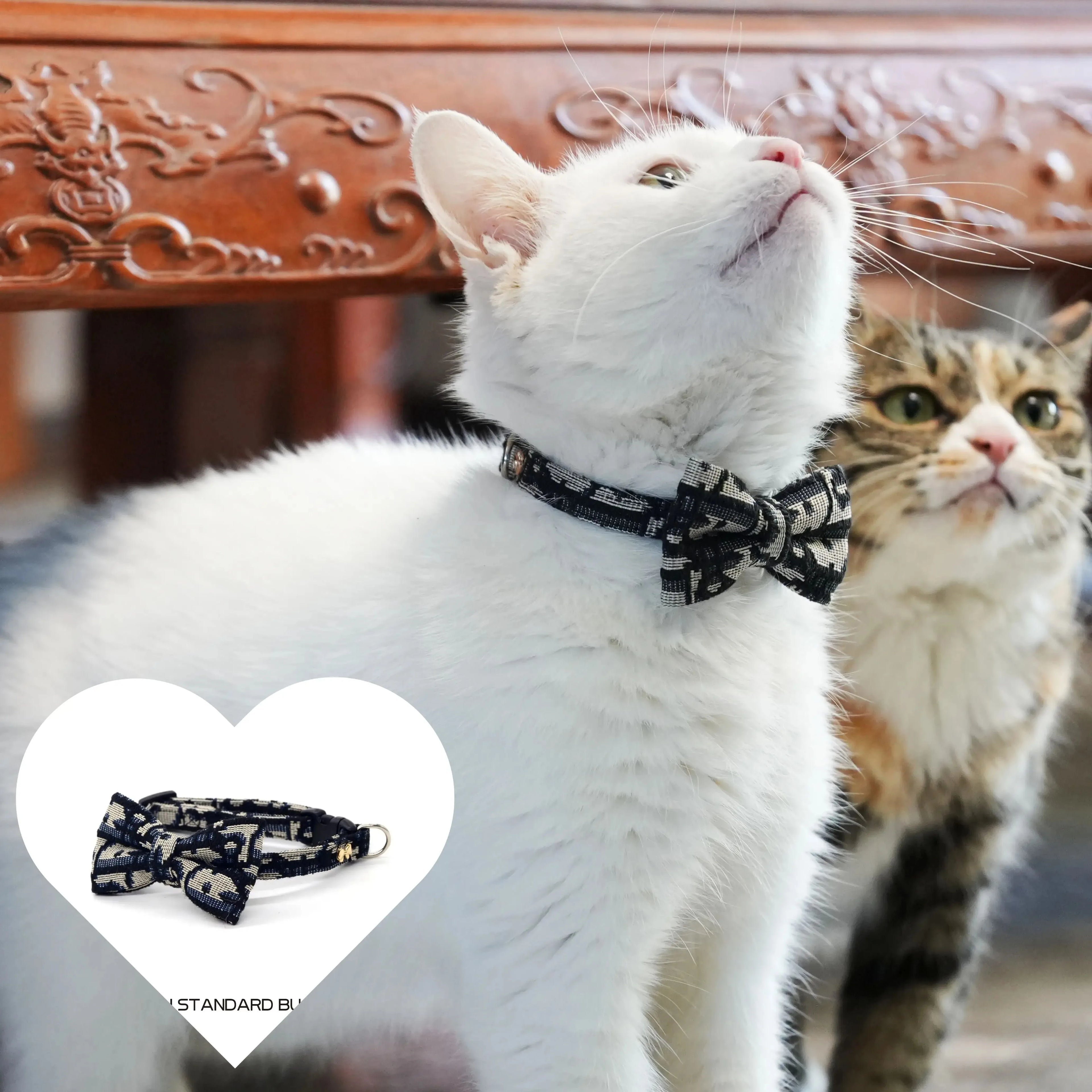 Pet Stuff Accessories Cats Items Detachable Collar Series Accessories Dogs Collars Guides Supplies Leash Kittens Pets