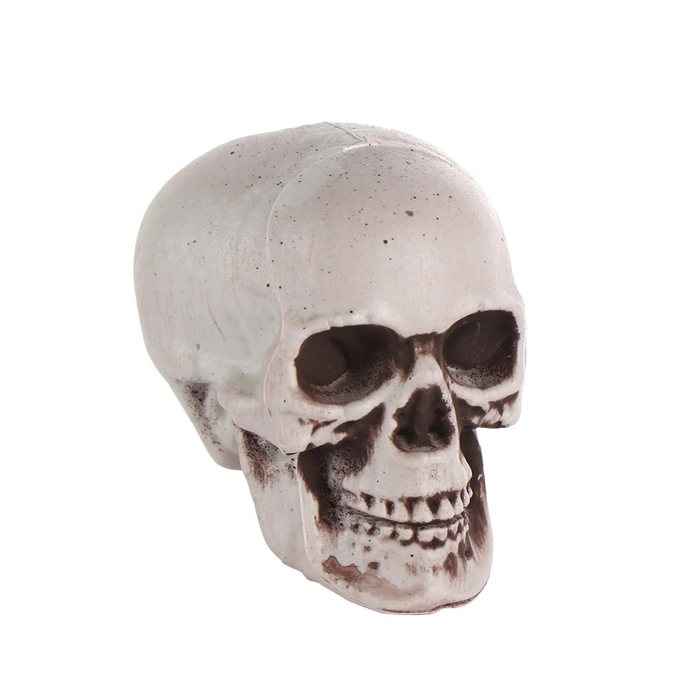 1PC Fashion Terrible Halloween Props Skull Head All Size Plastic Human Skeleton Party Decoration Game Supplies Hanging Decor