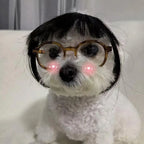 Cat Wig Dog Headdress Funny Cosplay Costume, Cute Pet Props Head Accessories