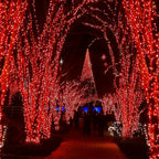Solar Powered Christmas Lights 50-200 LED Outdoor Light Strings Festive Garden Courtyard Red Blinking Lights with Solar Panel