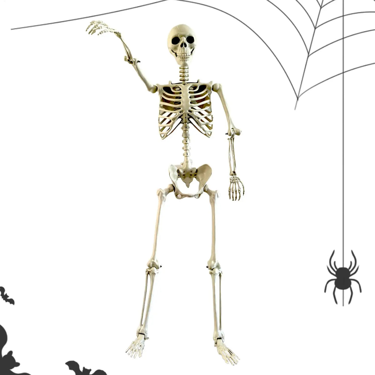 Full Life Size Haunted House Movable Skeleton Prop with Poseable Fake Human Skull Bones for Halloween Party Decoration