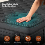 LayRoad 12/14Inch Memory Foam Spring Mattress Single/Double/Queen/King Sizes Boxed Mattress Medium Firmness Pressure Relief
