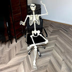 Full Life Size Haunted House Movable Skeleton Prop with Poseable Fake Human Skull Bones for Halloween Party Decoration