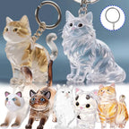 Pet Fur Keepsake Capsule Keychain, Transparent Souvenir Gift for Pet Lovers