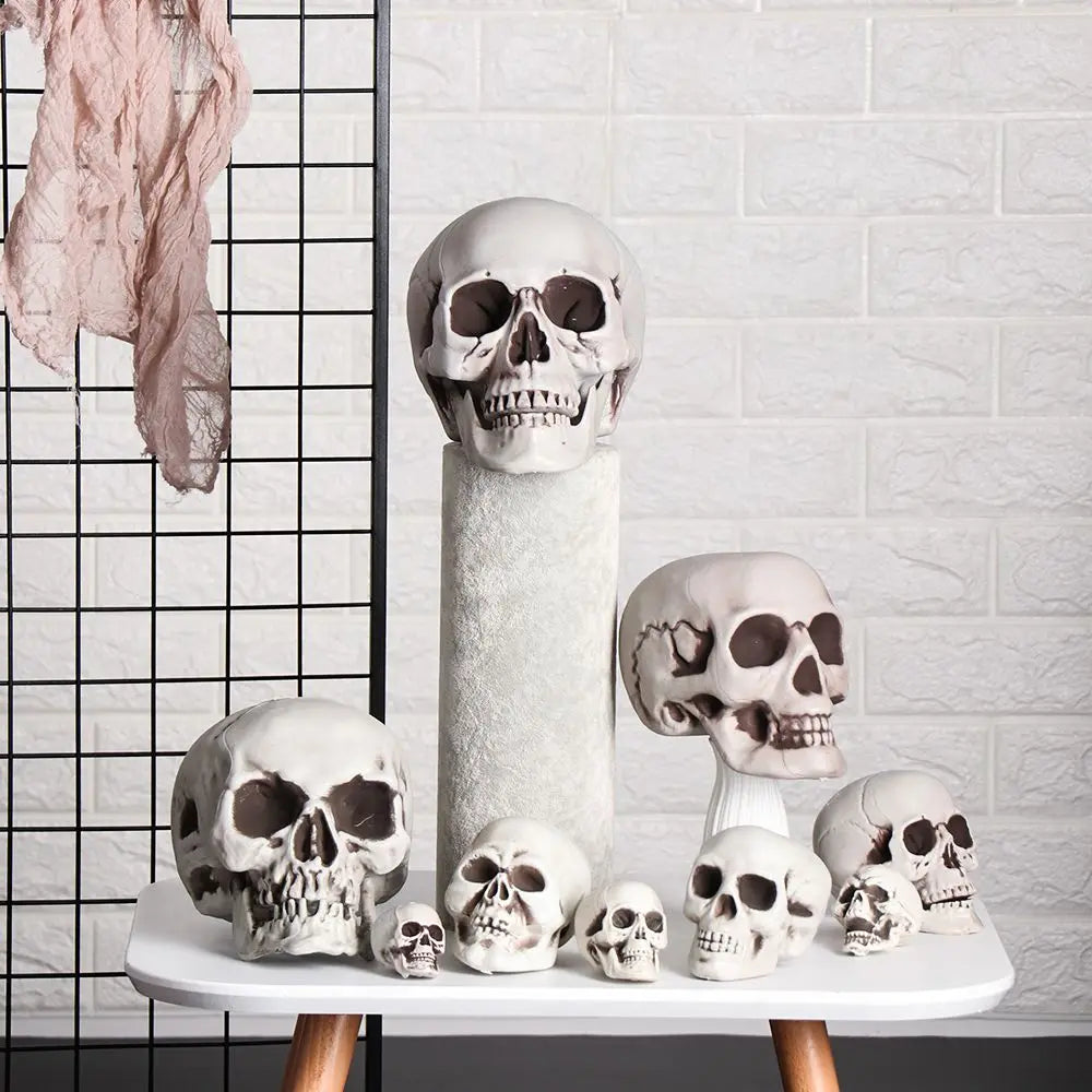 1PC Fashion Terrible Halloween Props Skull Head All Size Plastic Human Skeleton Party Decoration Game Supplies Hanging Decor