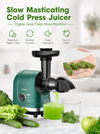 Slow Masticating Cold Press Juicer, Reverse Function Quiet Easy Clean High Yield Juice Extractor for Home Fruit Vegetable