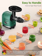 Slow Masticating Cold Press Juicer, Reverse Function Quiet Easy Clean High Yield Juice Extractor for Home Fruit Vegetable