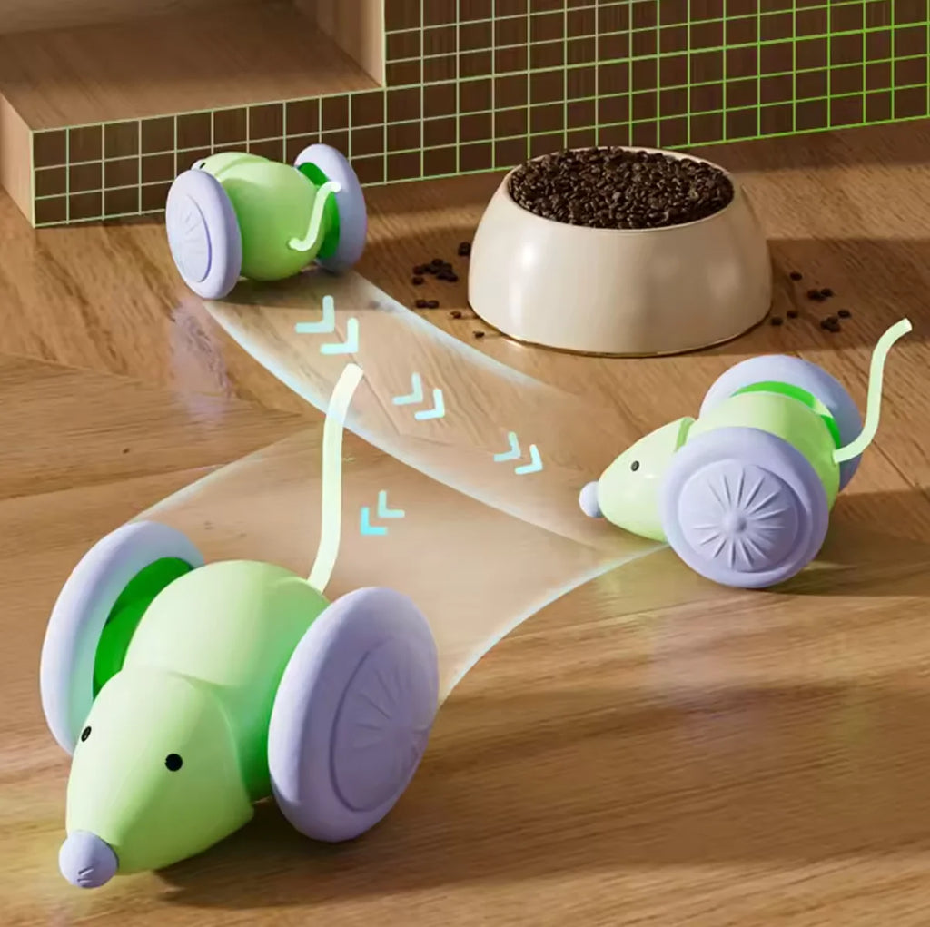 Interactive Cat Toy Electric Mouse Car Automatic Teaser kitten Pet Toys Rechargeable Intelligent Obstacle Avoidance Cat Car Toy