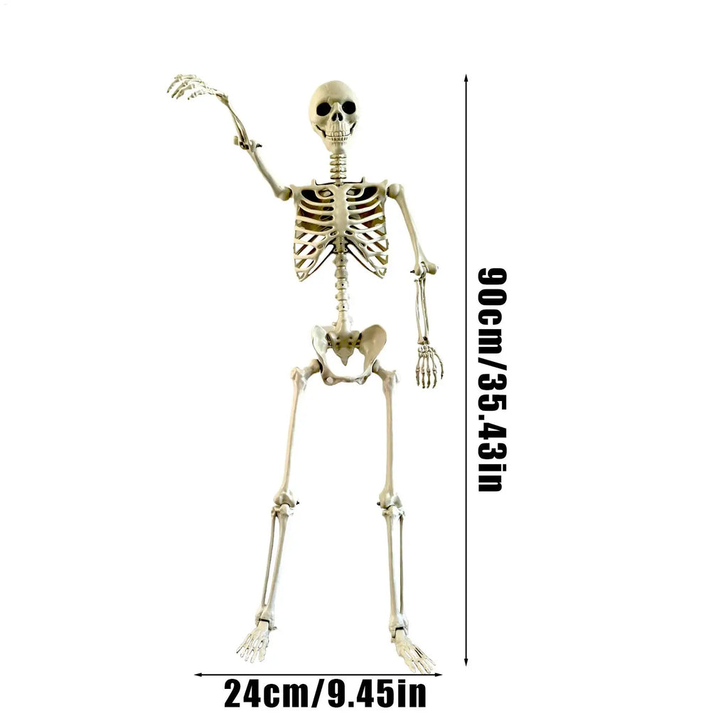 Full Life Size Haunted House Movable Skeleton Prop with Poseable Fake Human Skull Bones for Halloween Party Decoration