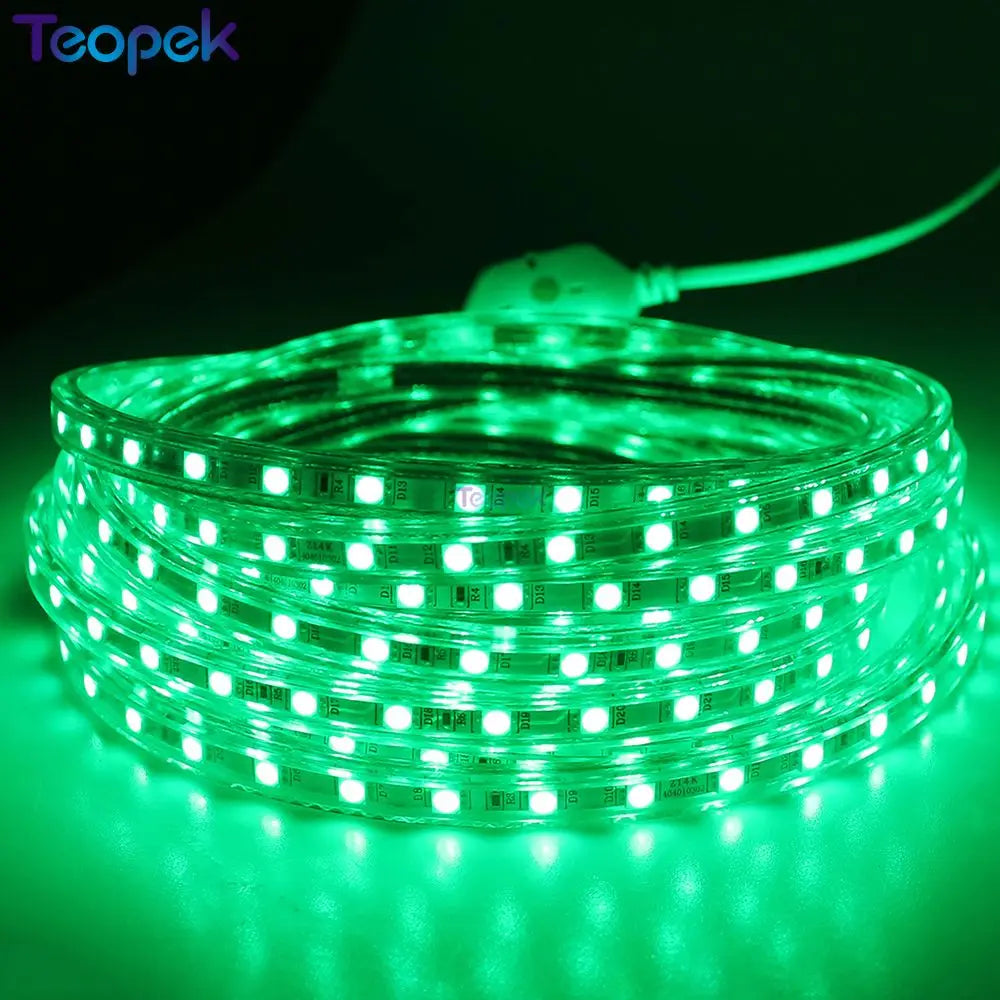LED Strip 5050 60leds/m 220V Waterproof Flexible LED light Tape 220V lamp Outdoor String With Power Plug 1M 3M 5M 10M 15M 20M
