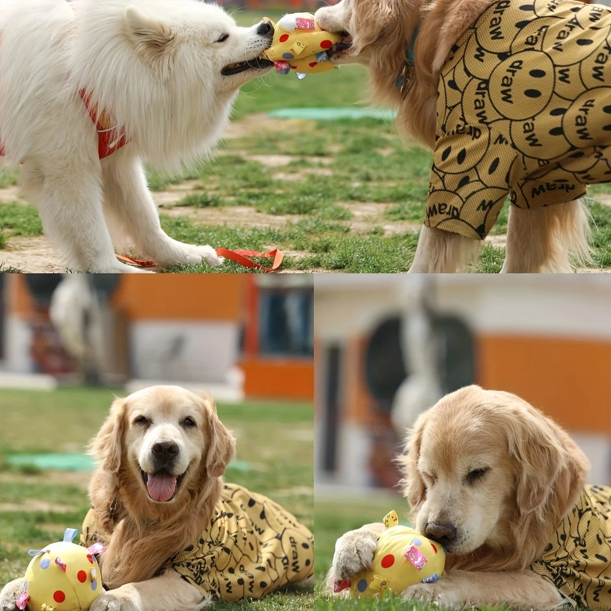 Dog Interactive Sound Ball Toy with Animal Patterns,  Pet Ball Suitable, Outdoor Play and Training, Dog Toy with Lively Design
