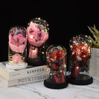 Valentine's Day Gift for Girlfriend Eternal Rose LED Light Flower Luminous Decoration Wedding Decor Creative Mother's Gifts