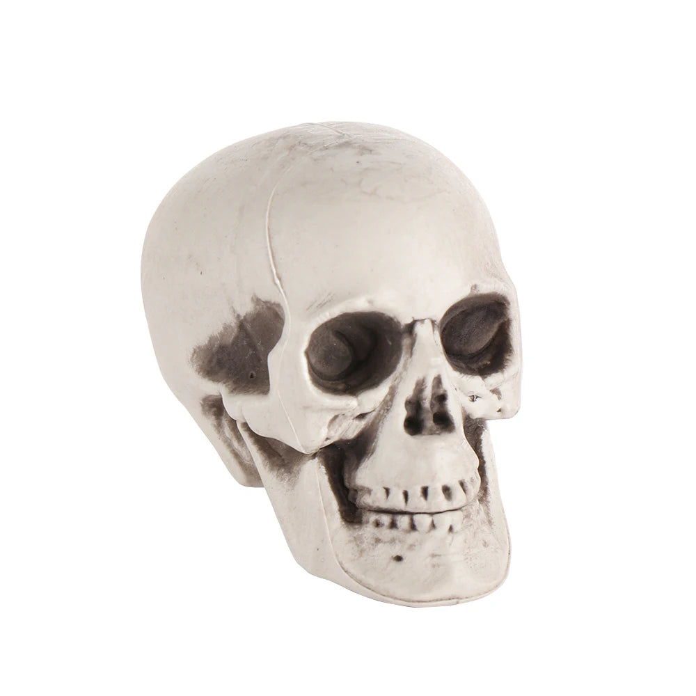 1PC Fashion Terrible Halloween Props Skull Head All Size Plastic Human Skeleton Party Decoration Game Supplies Hanging Decor