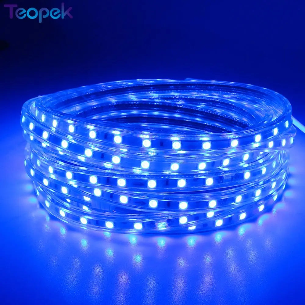 LED Strip 5050 60leds/m 220V Waterproof Flexible LED light Tape 220V lamp Outdoor String With Power Plug 1M 3M 5M 10M 15M 20M