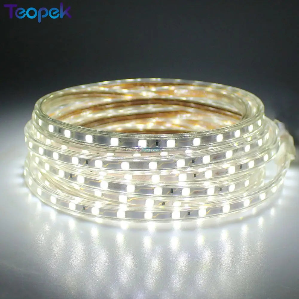 LED Strip 5050 60leds/m 220V Waterproof Flexible LED light Tape 220V lamp Outdoor String With Power Plug 1M 3M 5M 10M 15M 20M