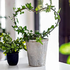 2pcs Metal Stackable Garden Trellis Plant Cage & Supports  for Decorative Vines Flowers Ivy Plant Support (Heart, 9.5in)
