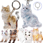 Pet Fur Keepsake Capsule Keychain, Transparent Souvenir Gift for Pet Lovers