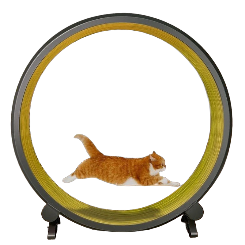 Pet Cat Treadmill Silent Roller Cat Treadmill Pet Exercise and Fitness Equipment Large Cat Climbing Frame Pet Running Toys