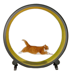Pet Cat Treadmill Silent Roller Cat Treadmill Pet Exercise and Fitness Equipment Large Cat Climbing Frame Pet Running Toys